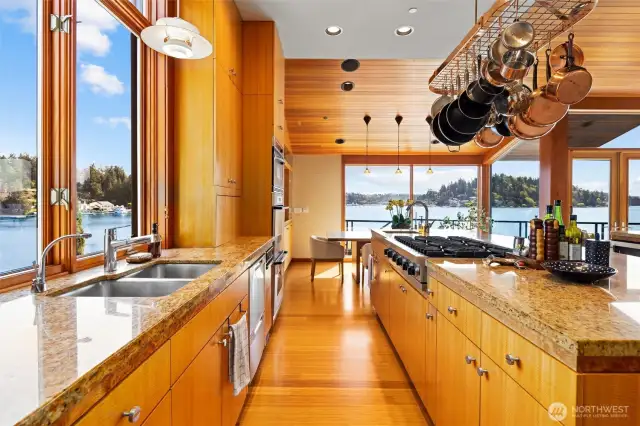 High-end stainless-steel appliances & 2 sinks