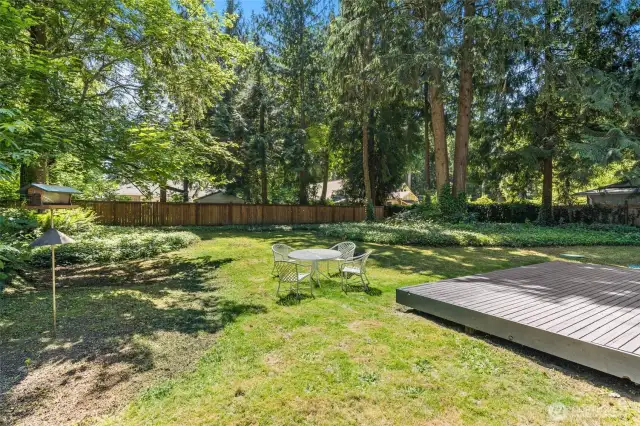 Rear yard