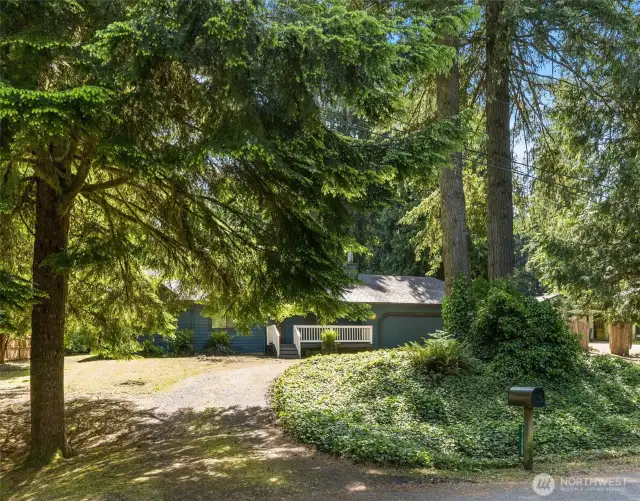 Circular driveway