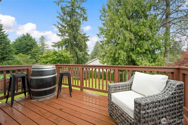 Upper Level Deck