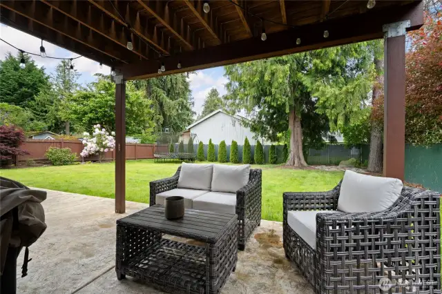 Lower Level Backyard