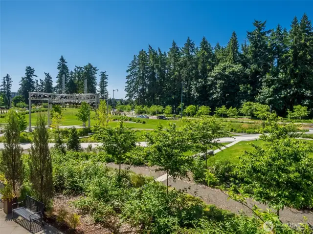 The Connector Park and Trail is your back yard