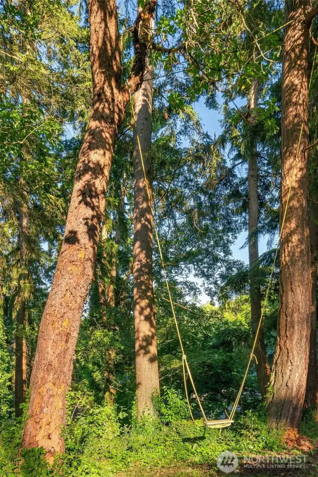 Even a tree swing!