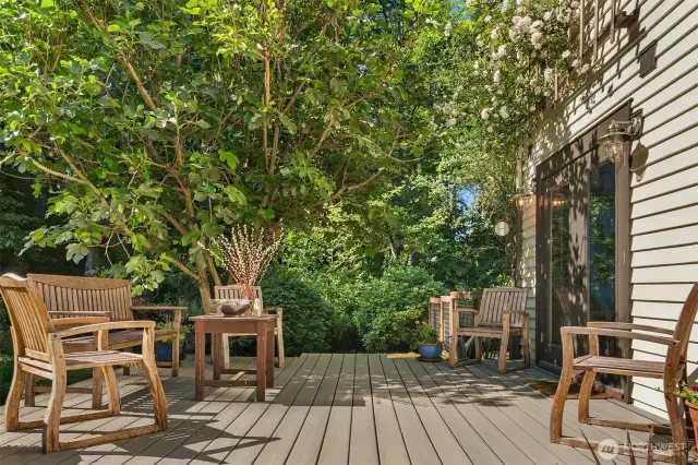 Back deck off the kitchen/dining area on the western side of the home.