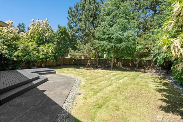 Backyard with Park-Like Setting