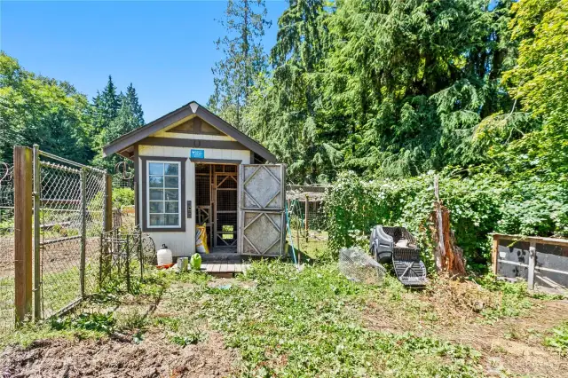 Fully fenced chicken coop
