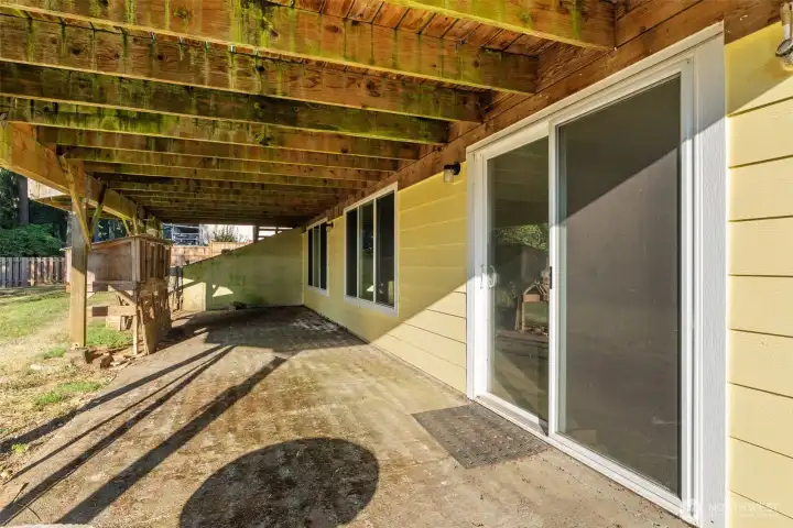 Back Patio