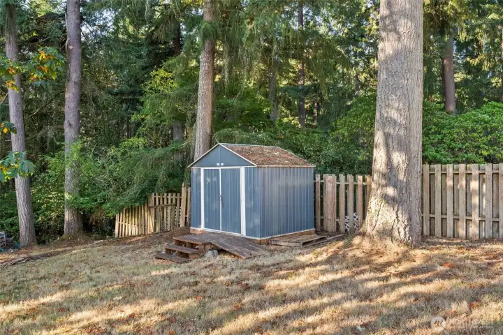 Shed