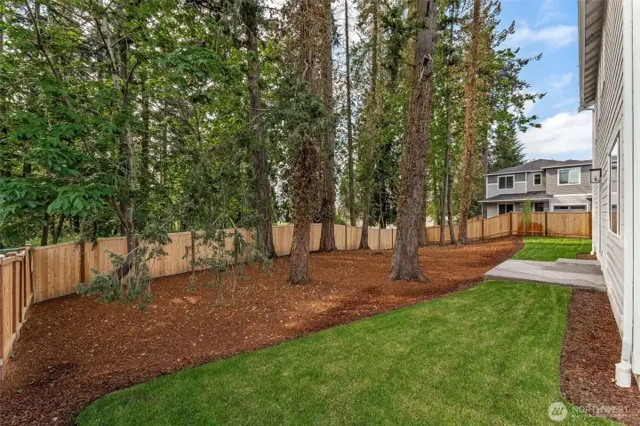 Actual home - Almost 9000 sq ft lot