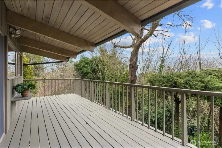 Entertainement size deck with great views.