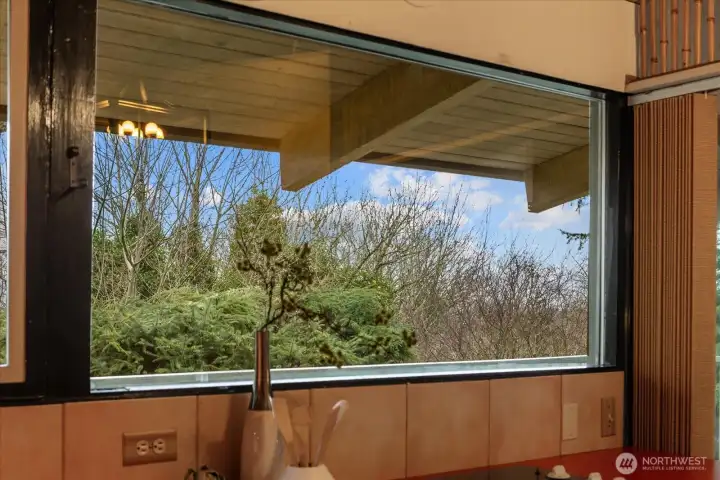 Kitchen windows look out to the natural setting.