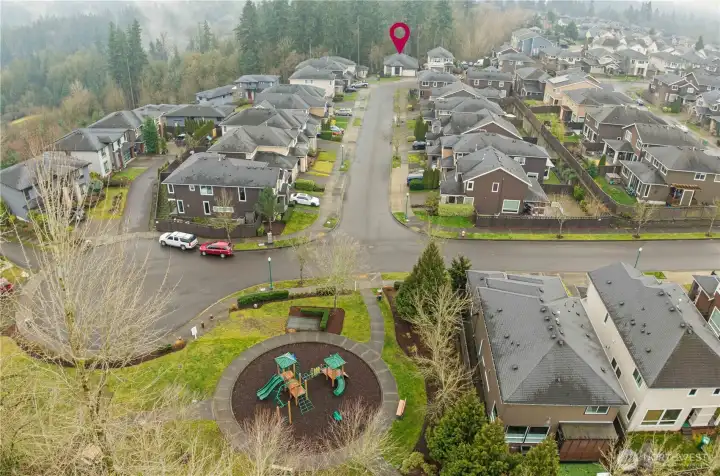 Beautiful backdrop against the woods!