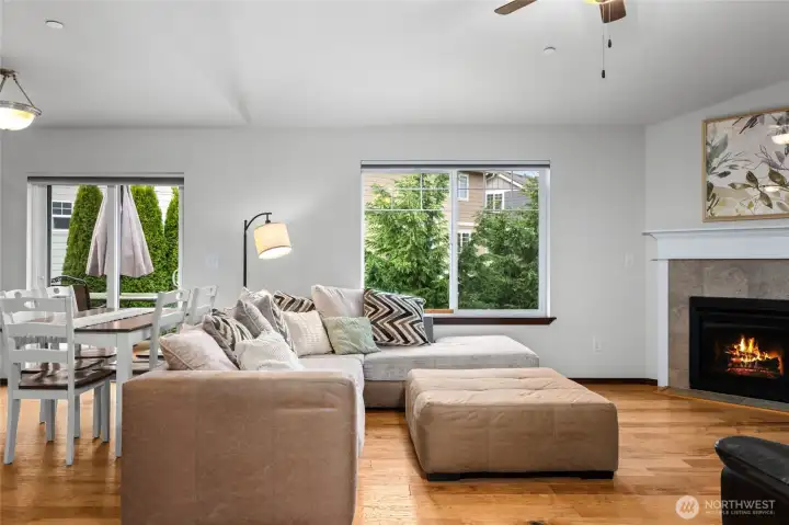 Views over yard into greenspace