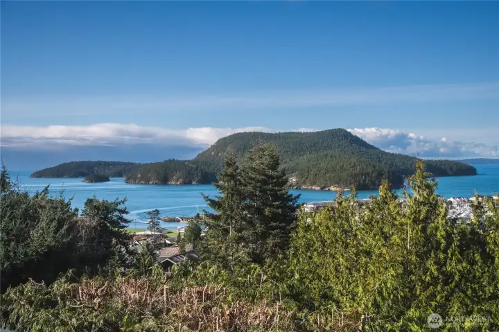 View from the deck