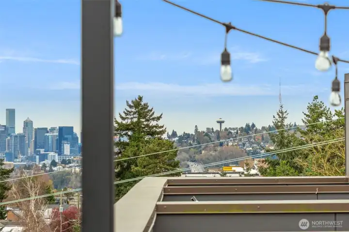 Roof deck has great privacy and excellent views.