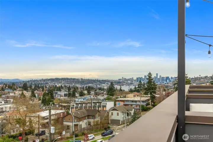 Roof deck has great privacy and excellent views.