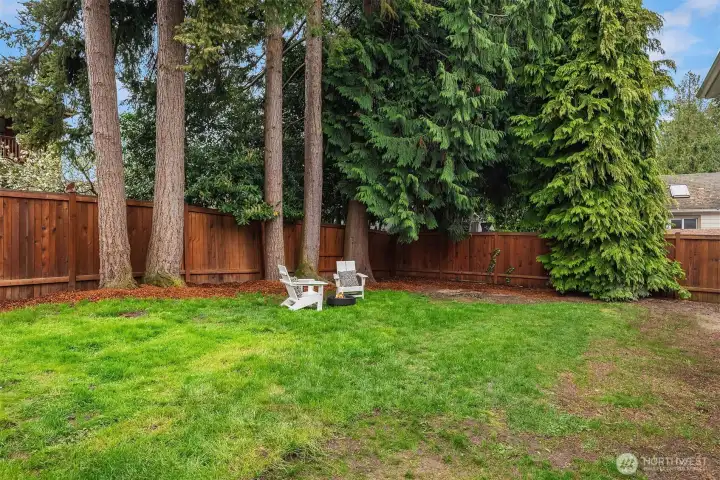 So much room! And the trees provide privacy.  Add a fire pit, play structure, croquette?