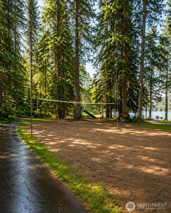 Division 1 Park volleyball