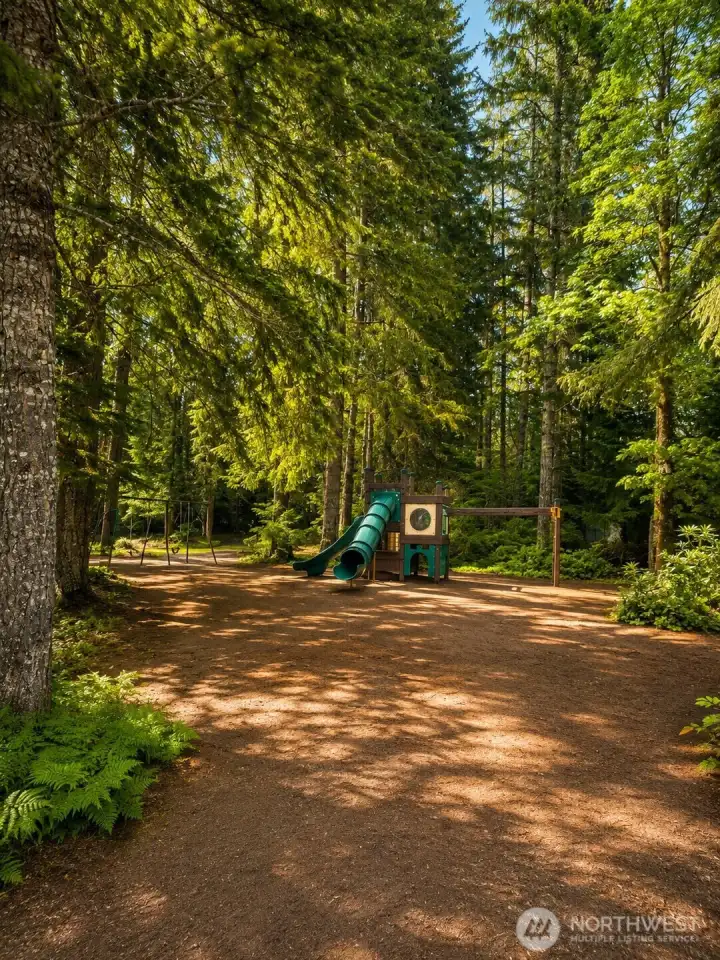 Division 1 Park playground