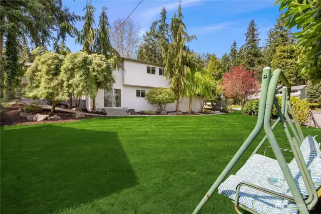 Side yard
