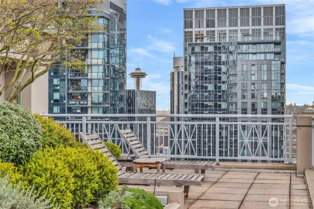 Gorgeous and expansive rooftop terrace with Adirondack Lounges, BBQ areas and views of SLU, the Space Needle and Downtown Seattle!
