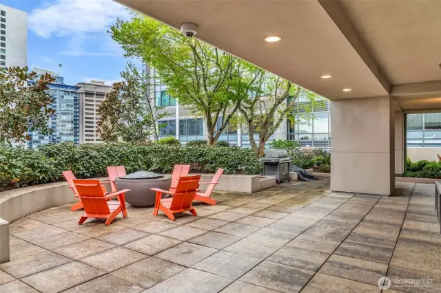 Gorgeous and expansive rooftop terrace with Adirondack Lounges, BBQ areas and views of SLU, the Space Needle and Downtown Seattle!