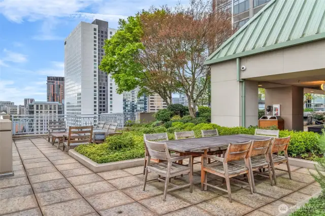Gorgeous and expansive rooftop terrace with Adirondack Lounges, BBQ areas and views of SLU, the Space Needle and Downtown Seattle!