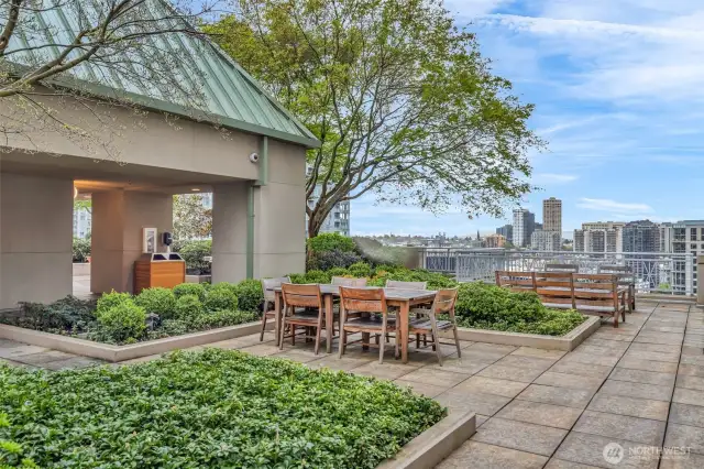 Gorgeous and expansive rooftop terrace with Adirondack Lounges, BBQ areas and views of SLU, the Space Needle and Downtown Seattle!