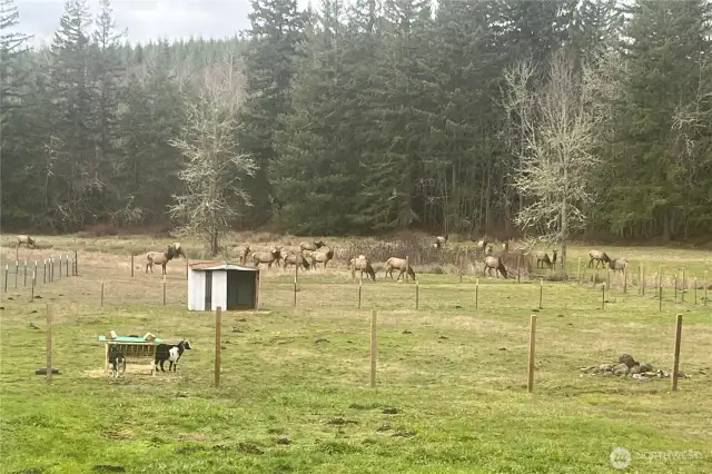 Enjoy when nature visits your doorstep!