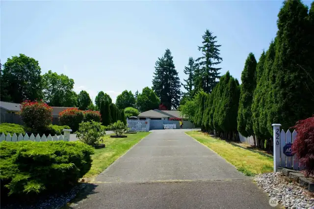 Driveway