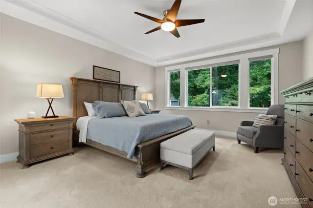Enjoy complete privacy with a backyard that backs to a serene open space buffer, offering views of mature evergreens and a peaceful retreat.
