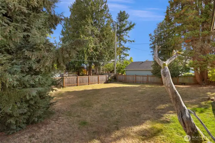 Fully fenced backyard great for outdoor activites.