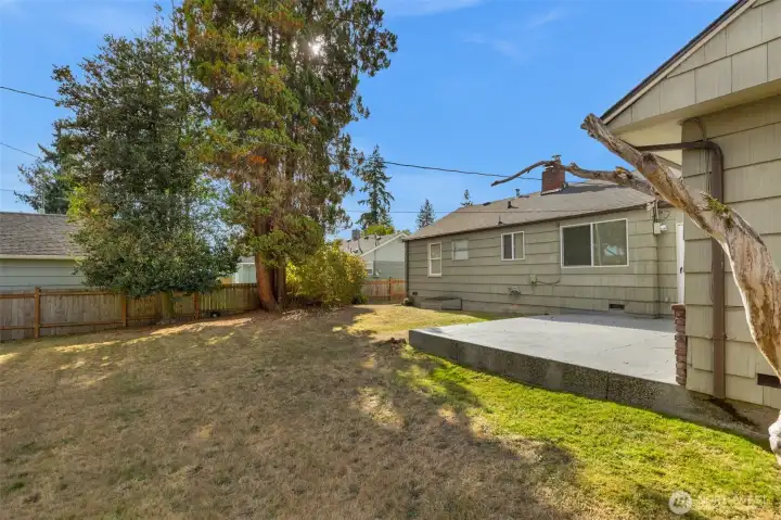Another view of backyard from NE corner of property.