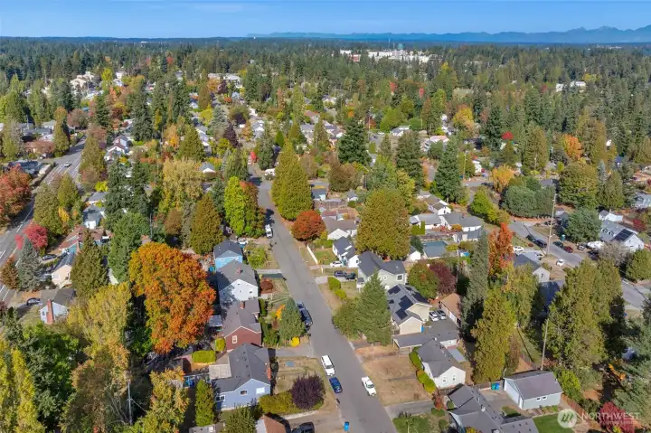 Aerial view of area