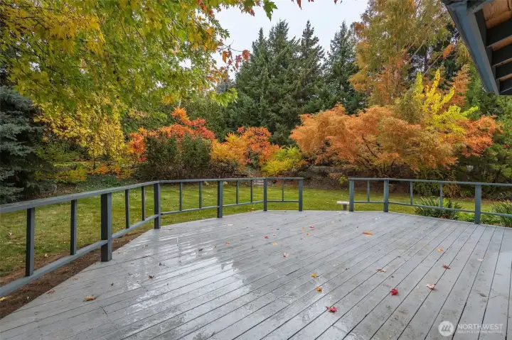 Imagine all the gatherings you will host this summer set against the stunning backdrop of these beautiful trees!