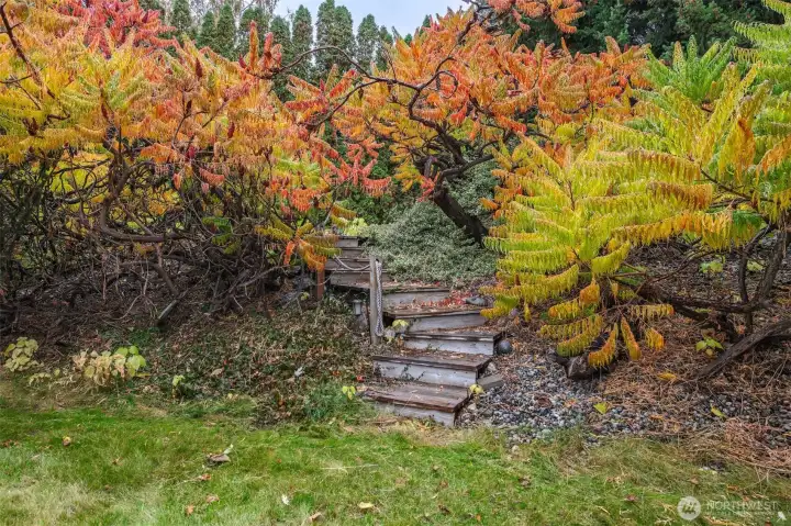 Secret staircase leads over a bridge to a space of such serenity, your imagination will light p with possible uses!