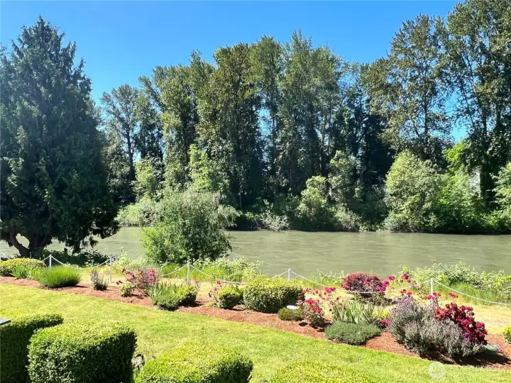 Summer Photo from Owner