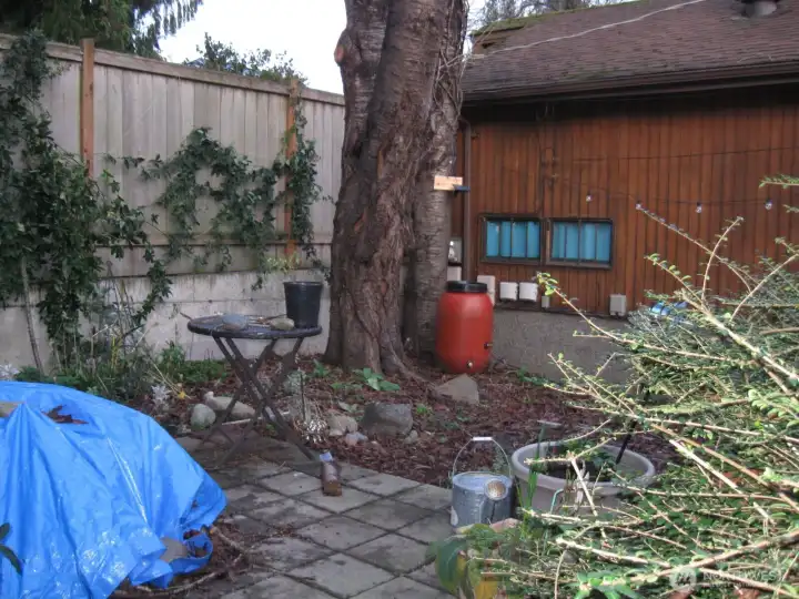 Peaceful garden patio in the NE corner of the Site