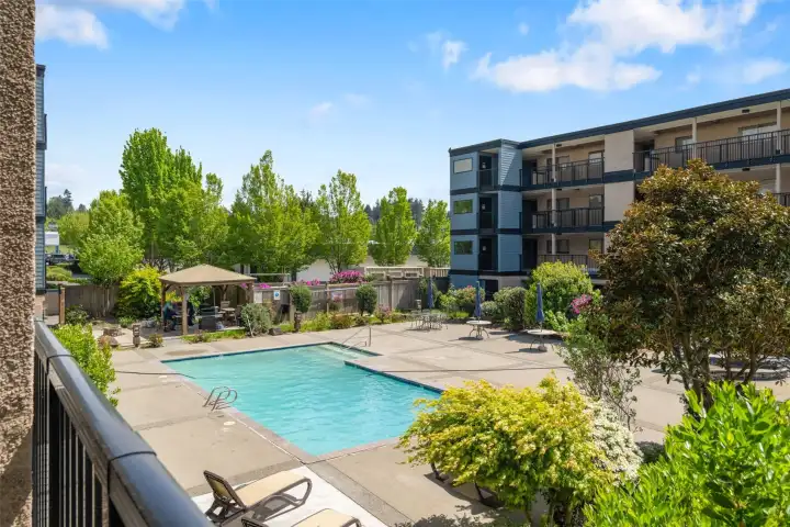 Courtyard pool