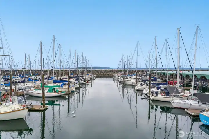 Marina