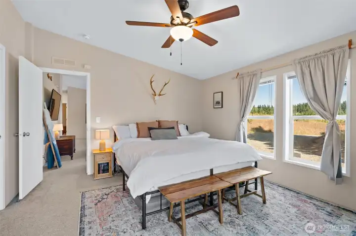 Lots of light in this large primary sweet with walk in closet