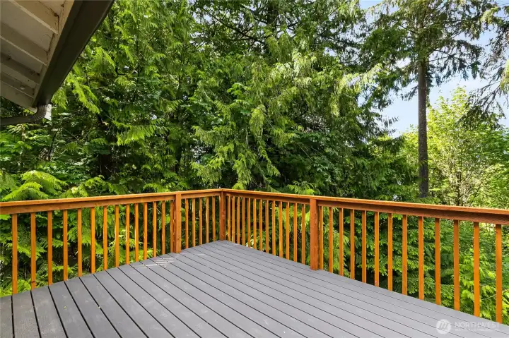 New Trex deck off of the kitchen area New Trex deck off of the kitchen area