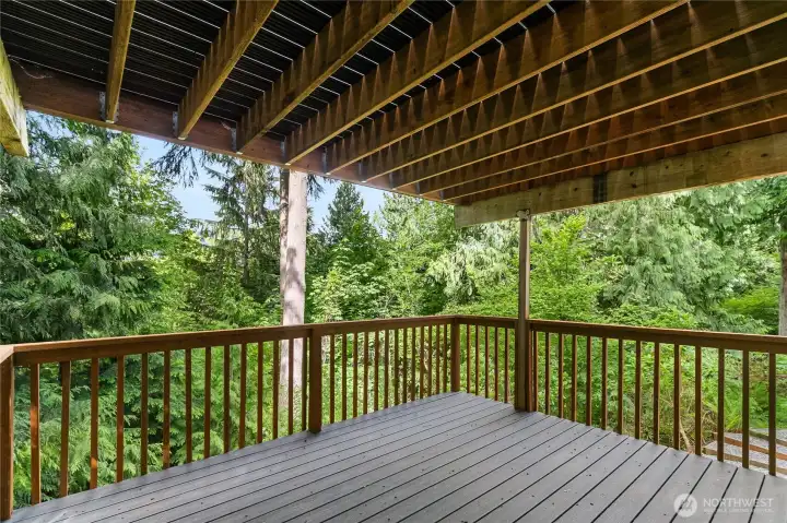 Another private deck on lower level off of bedroom Another private deck on lower level off of bedroom