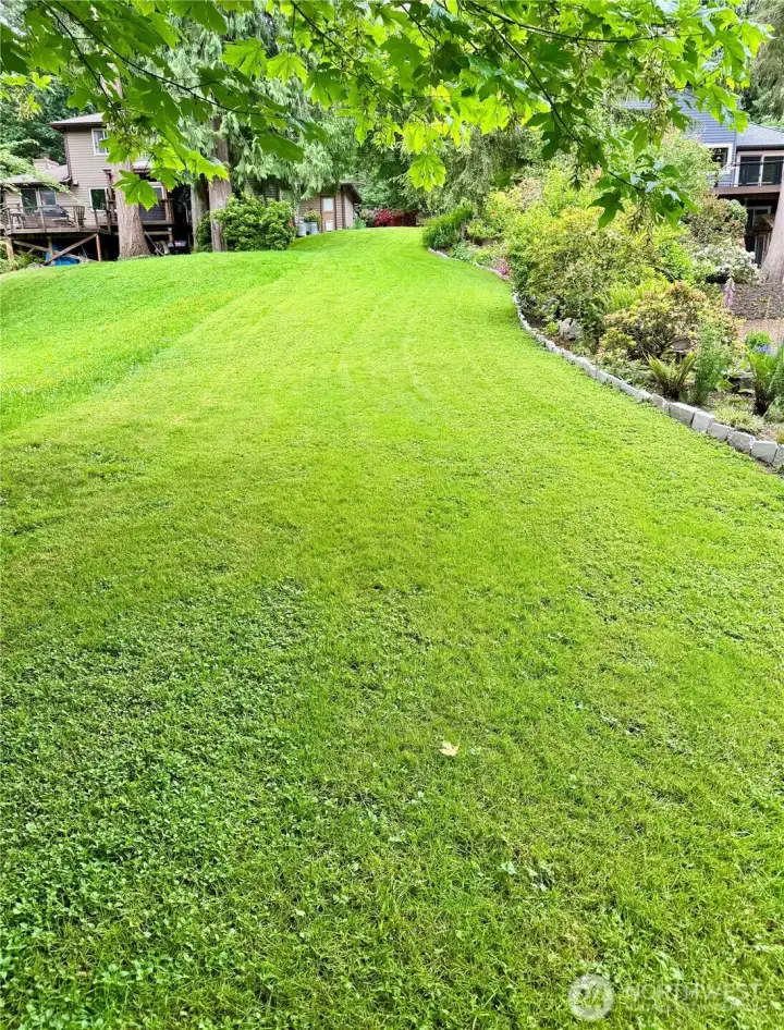 Lush lawn is perfect for play, sports, or laying in the sun! Lush lawn is perfect for play, sports, or laying in the sun!