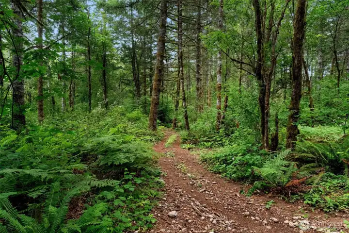 Private trail provides a path through the property's wooded surroundings.
