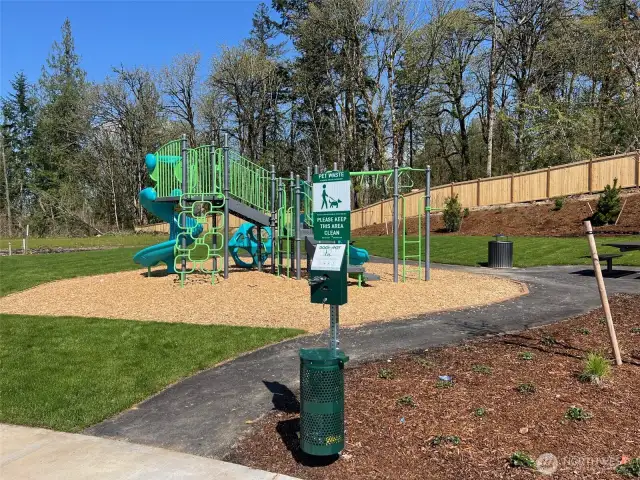 Brand New Playground