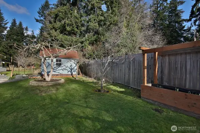Garden shed and space to garden. Some fruit trees, too!