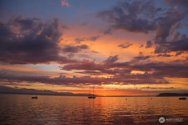 Welcome to Whidbey, Welcome Home!