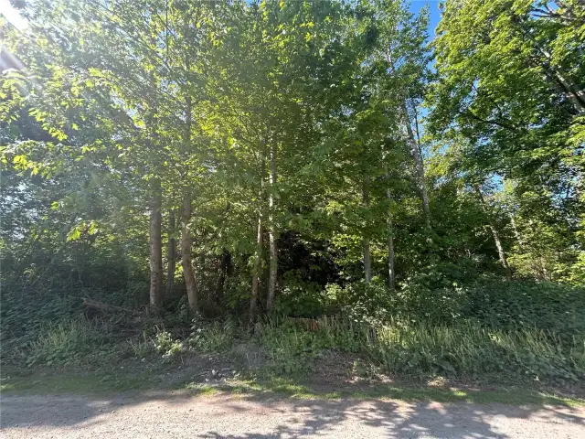 North face of property