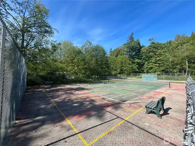 Athletic Court